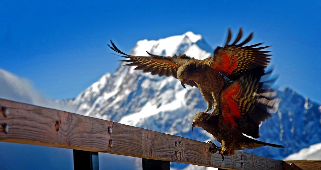 글렌타너 파크 센터 호텔 Aoraki / Mount Cook 외부 사진